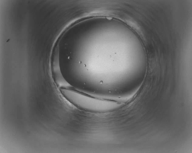 X0000070211288200606021245