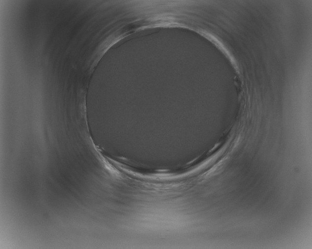 X0000070211289200606021245