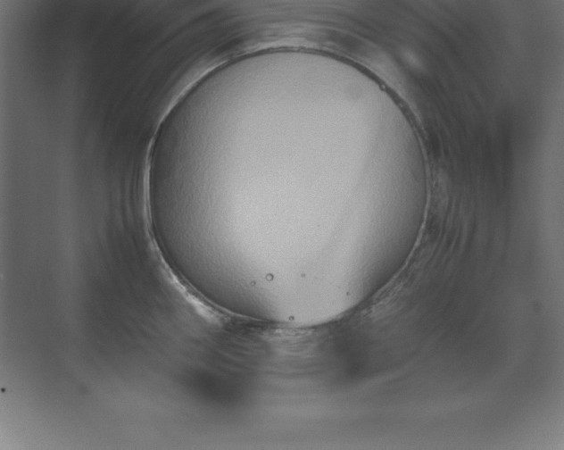 X0000070211290200606021245