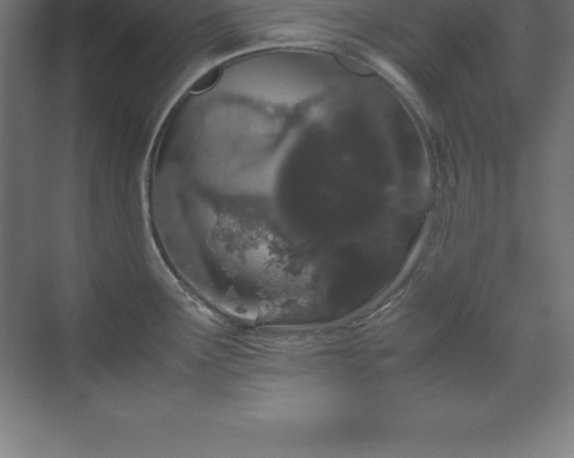 X0000070211291200606021245