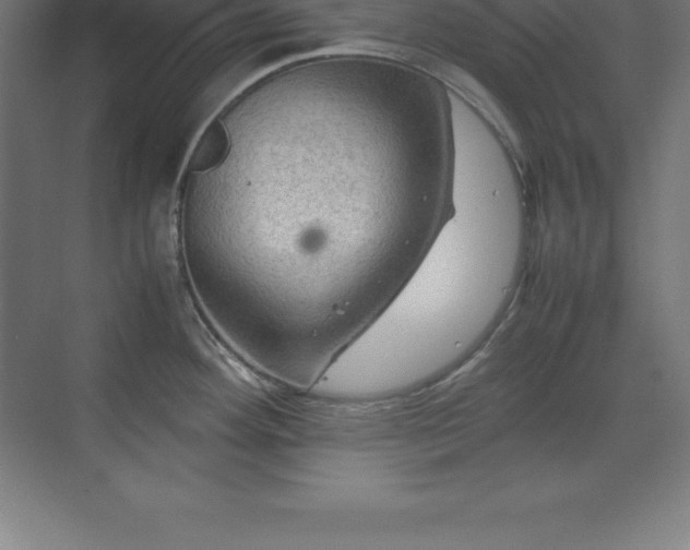 X0000070211292200606021245