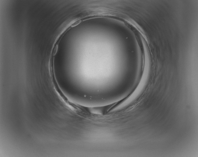 X0000070211293200606021245