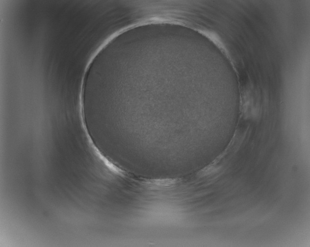 X0000070211294200606021245