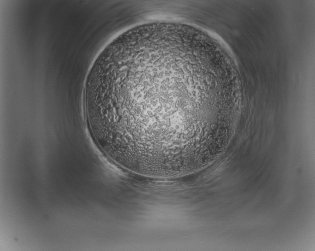 X0000070211295200606021245