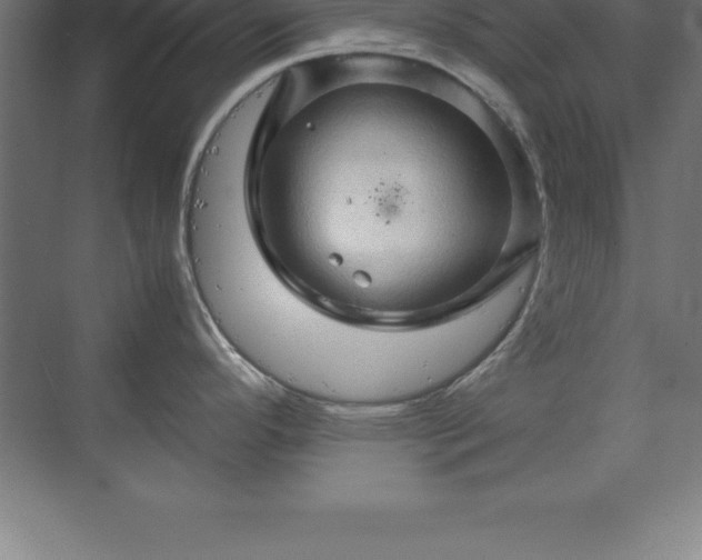 X0000070211296200606021245