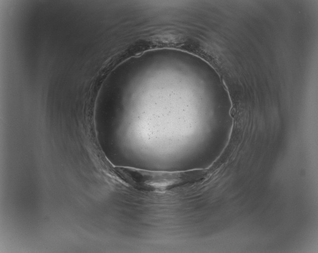 X0000070211297200606021244