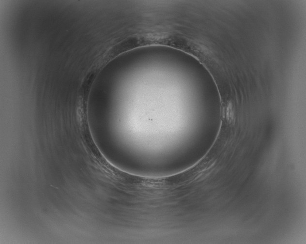 X0000070211299200606021245