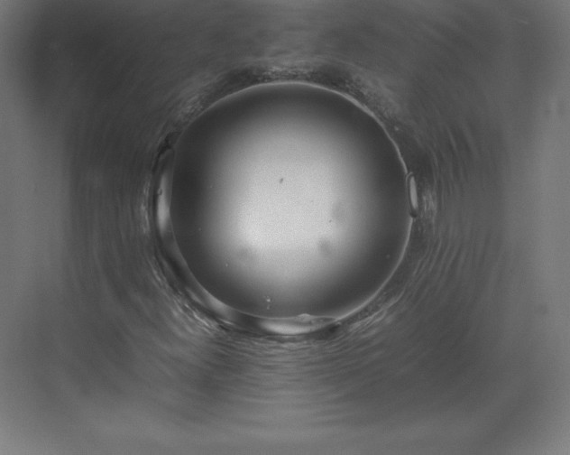 X0000070211300200606021245