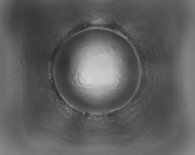 X0000070211301200606021245