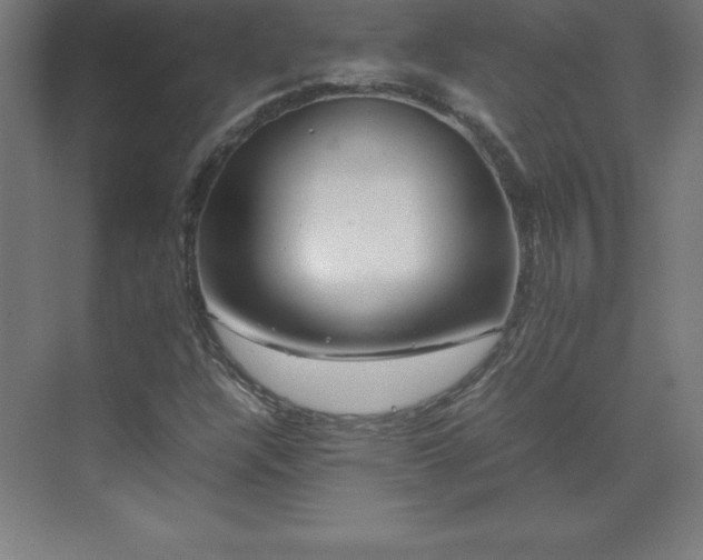 X0000070211304200606021245