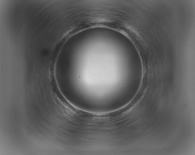 X0000070211305200606021245