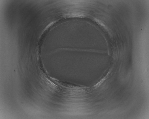 X0000070211306200606021245