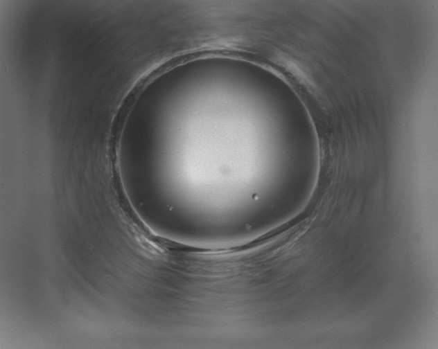 X0000070211308200606021245