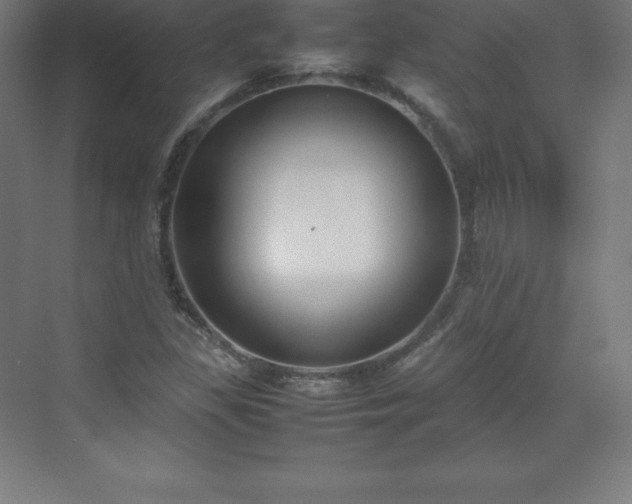 X0000070211309200606021245