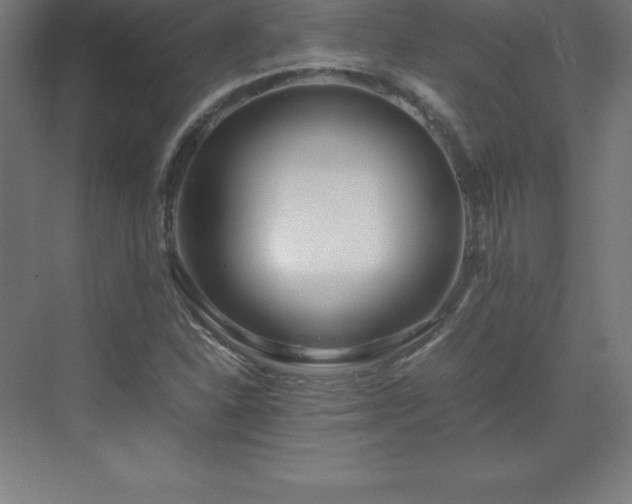 X0000070211310200606021245