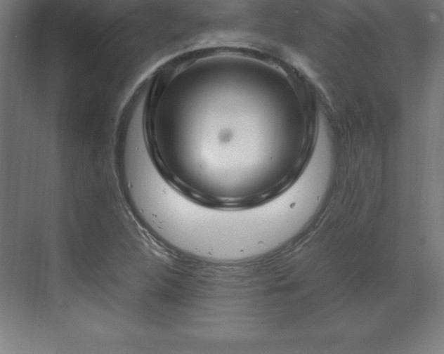 X0000070211312200606021245