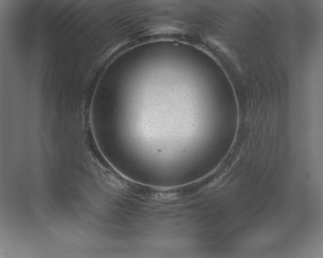 X0000070211313200606021245