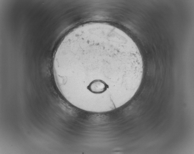 X0000070211314200606021245