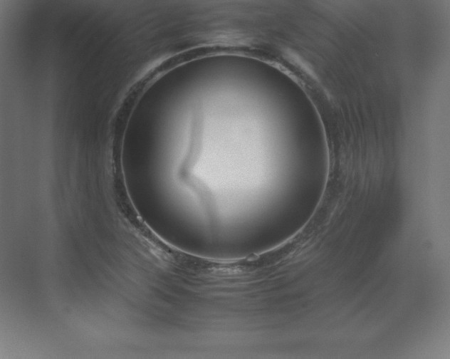 X0000070211315200606021245