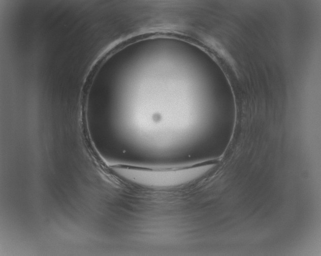 X0000070211316200606021245