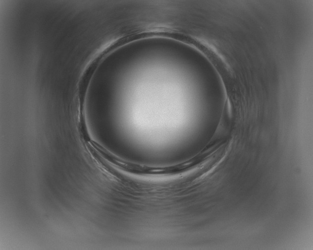 X0000070211317200606021245