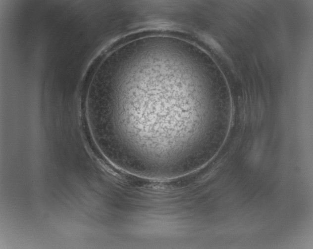 X0000070211318200606021245