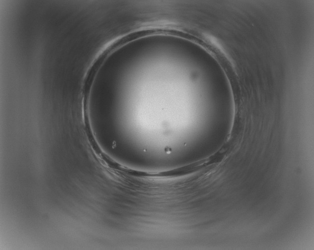 X0000070211320200606021245