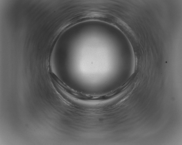 X0000070211321200606021245