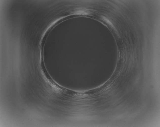 X0000070211323200606021245