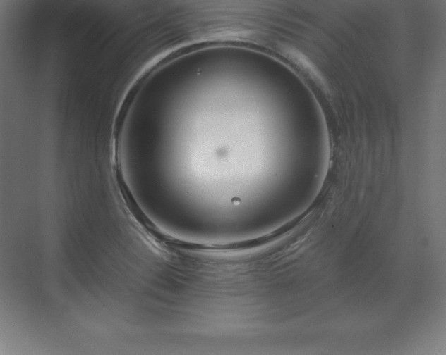 X0000070211324200606021245