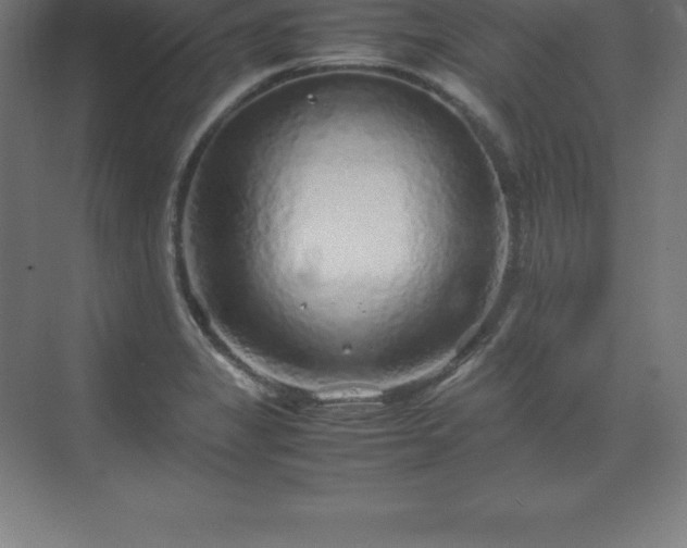 X0000070211325200606021245