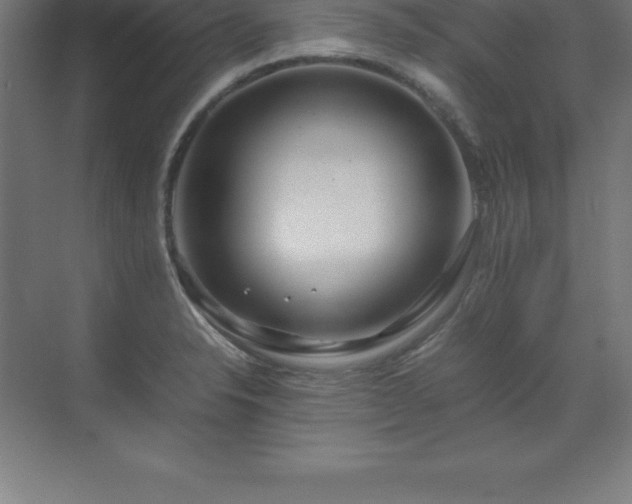 X0000070211326200606021245