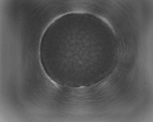 X0000070211327200606021245