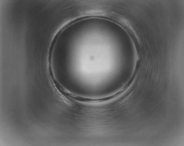 X0000070211328200606021245