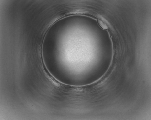 X0000070211329200606021245