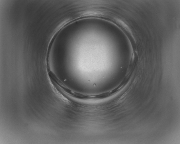 X0000070211330200606021245