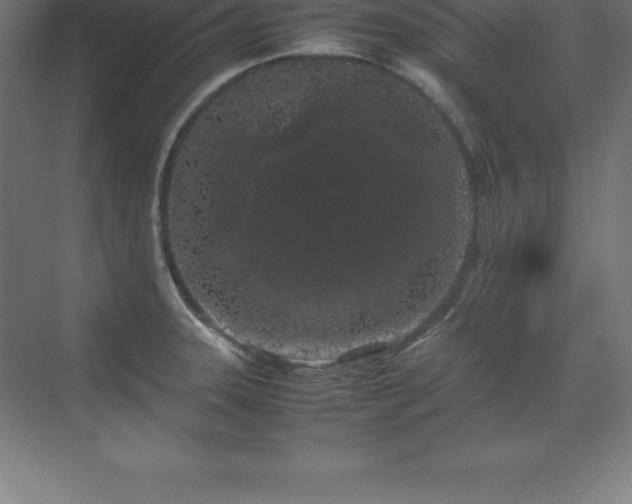 X0000070211331200606021245