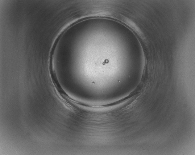 X0000070211332200606021245