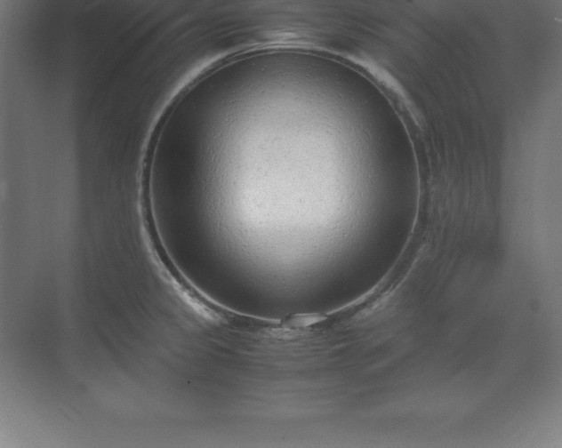 X0000070211333200606021245