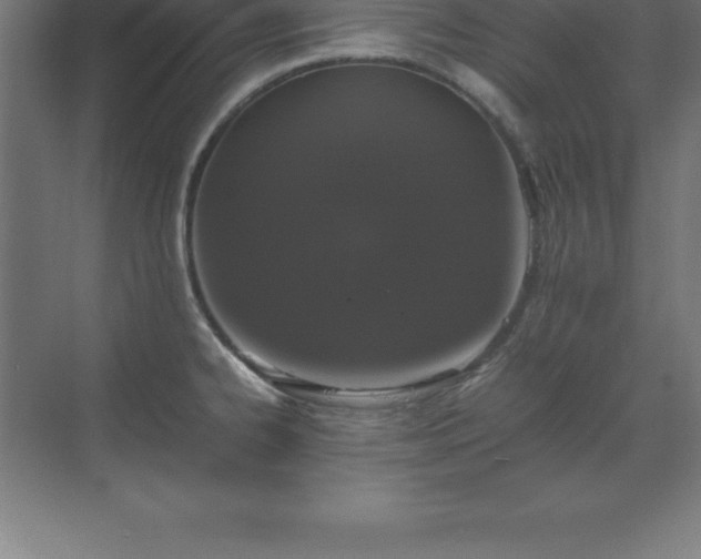 X0000070211334200606021245