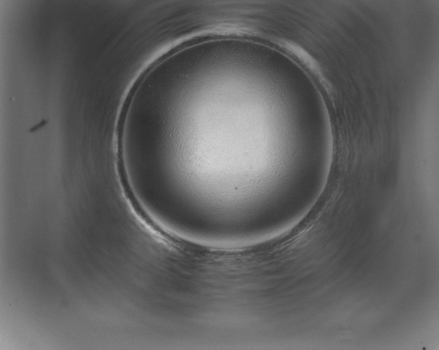 X0000070211335200606021245