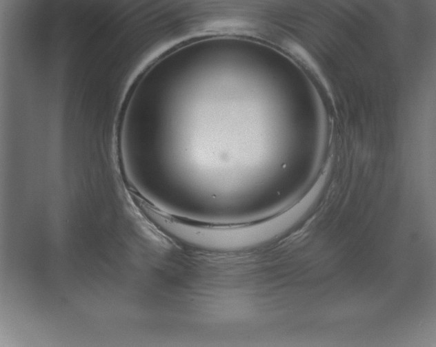 X0000070211336200606021245