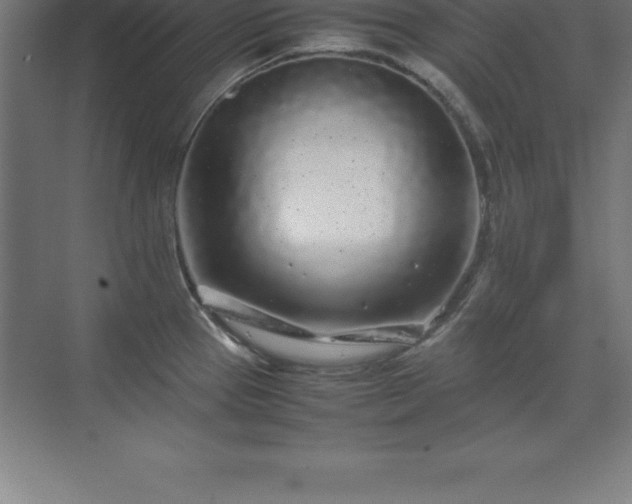 X0000070211337200606021245