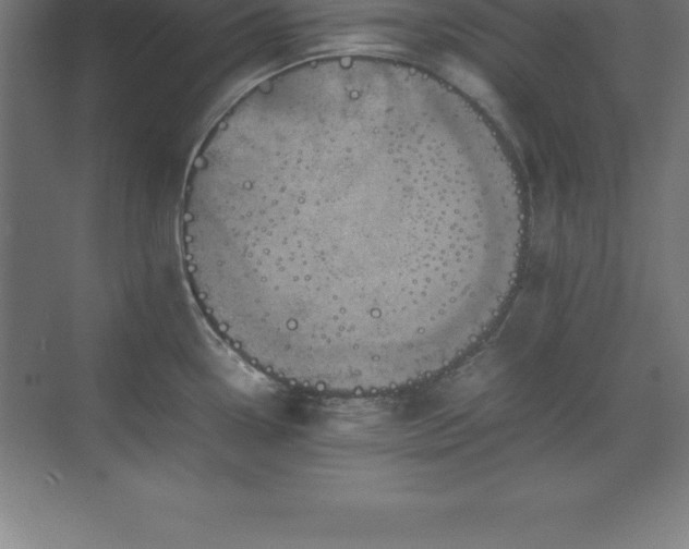 X0000070211338200606021245