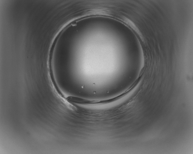 X0000070211339200606021245