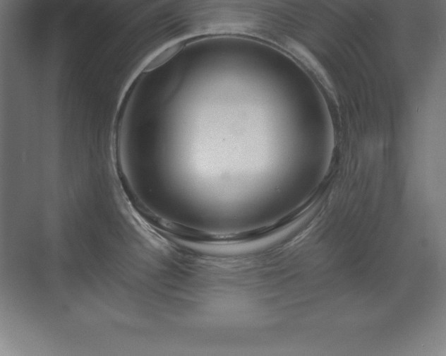 X0000070211340200606021245