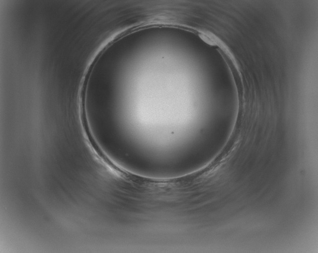 X0000070211341200606021245