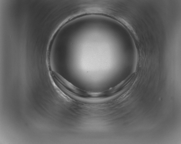 X0000070211342200606021245