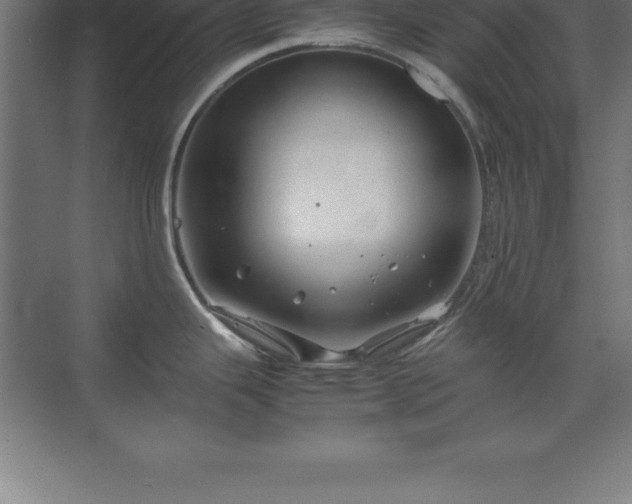 X0000070211343200606021245