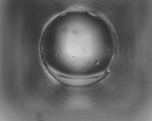 X0000070211344200606021245